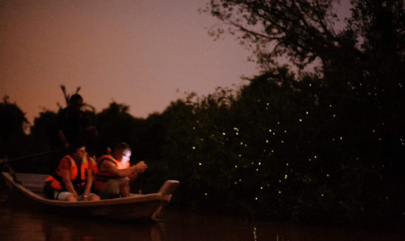Kuala Lumpur: Kuala Selangor Firefly Tour and Dinner - Who This Tour Fits Best (and Who Should Skip It)