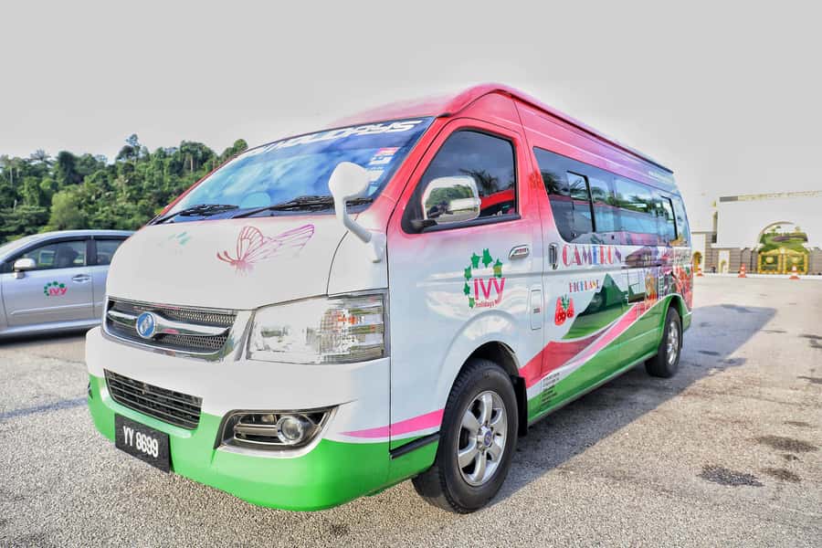 Kuala Lumpur: Sightseeing by Private Vehicle with Driver - Price and value: what $81 really buys you