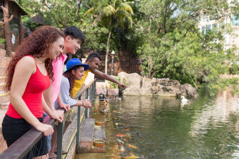 Kuala Lumpur: Sunway Lagoon Entry Ticket - Heads-up from real-world hiccups: closures, ticket problems, and wristband hassle
