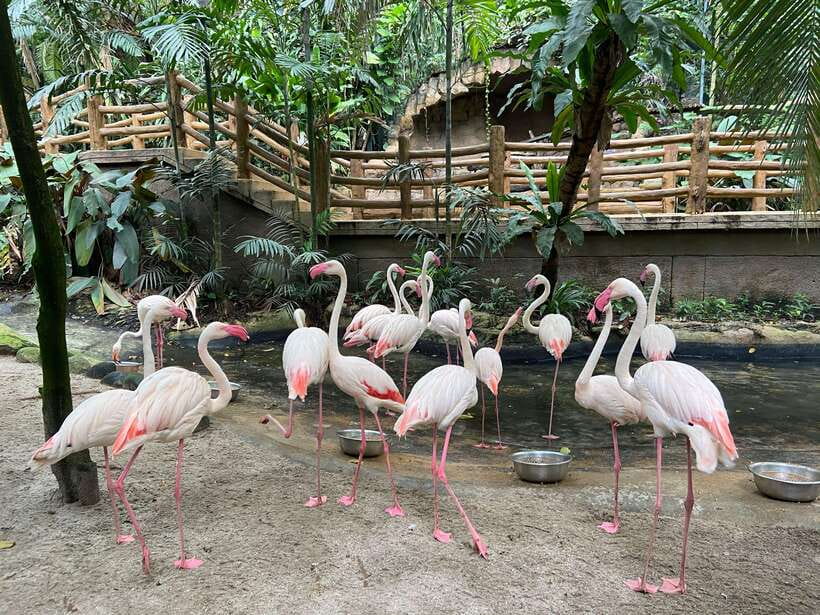 Kuala Lumpur: Sunway Lagoon Ticket & 1-Way Transfer - The Shared 1-Way Transfer: Easy, But Not Private