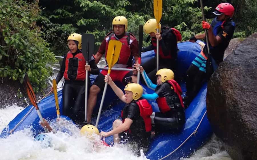 Kuala Lumpur: Taman Negara National Park Teras Waterfall - Canopy Bridge: The 550-Meter Walk You’ll Feel in Your Legs
