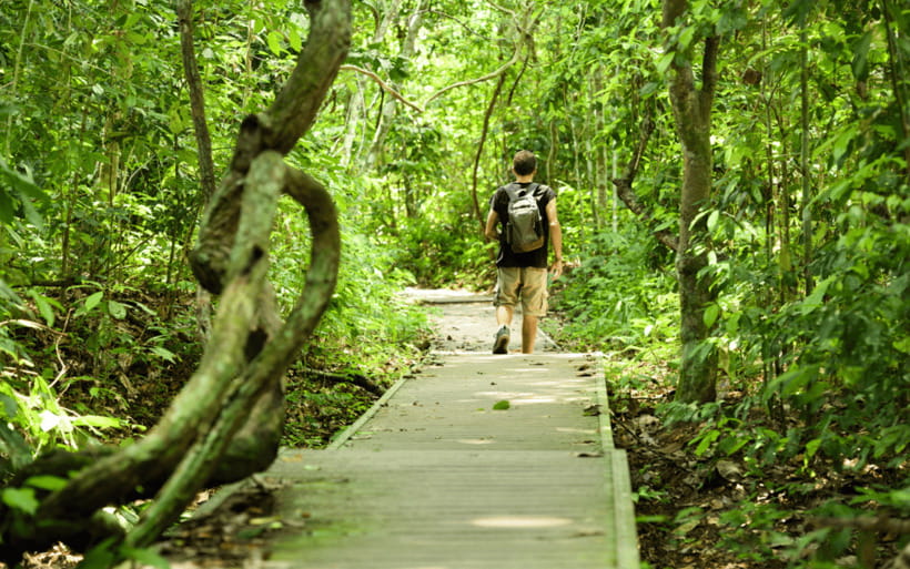 Kuala Lumpur: Taman Negara National Park Teras Waterfall - Teresek Hill Trek and Teras Waterfall: Tough Walking With a Reward