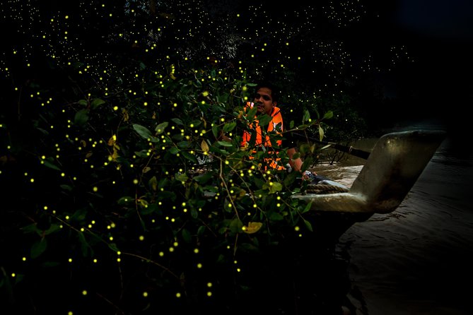 Kuala Selangor Fireflies - Batu Caves Temple- Malawati Hill DayTour With Dinner - Key highlights that matter for your schedule