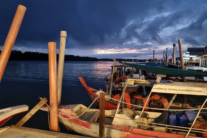 Kuala Selangor Fireflies Tour with Fort Altingsburg & Dinner - Kuala Selangor fireflies: the boat ride is the whole point
