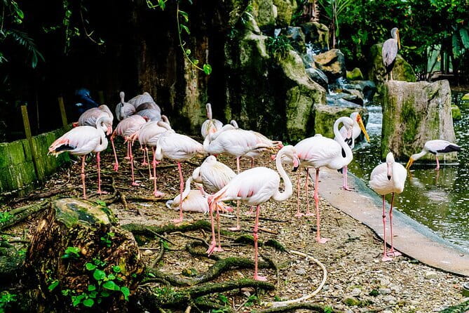 Kuala Selangor Sky Mirror Experience – Natural Mirror Beach Tour - Practical tips to get better photos (without losing your morning)