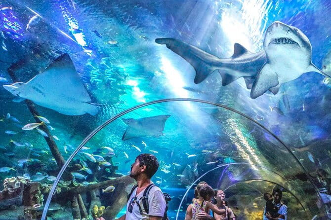Malaysia: Aquaria KLCC Admission E-Ticket - Key Things I’d Prioritize About Aquaria KLCC