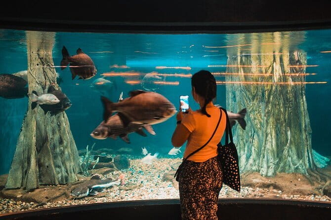 Malaysia: Aquaria KLCC Admission E-Ticket - Entering with an E-Ticket (and Why Your ID Matters)