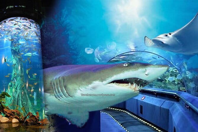 Malaysia: Aquaria KLCC Admission E-Ticket - Interactive Exhibits: When You Want More Than Looking