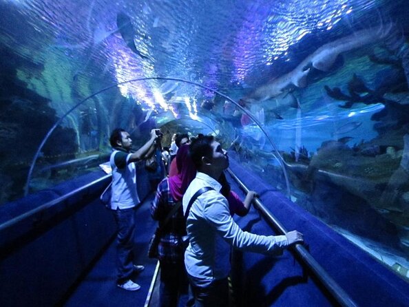 Malaysia: Aquaria KLCC Entry Ticket - Key takeaways before you buy