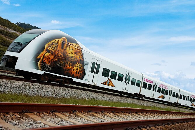 Malaysia: KLIA Ekspres Airport Train Ticket - KLIA Ekspres Timing That Actually Helps on Arrival Days