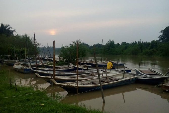 Nature At The Riverbank, Fireflies Watching By Row Boat (Guided) - Key highlights from this Kuala Selangor fireflies tour