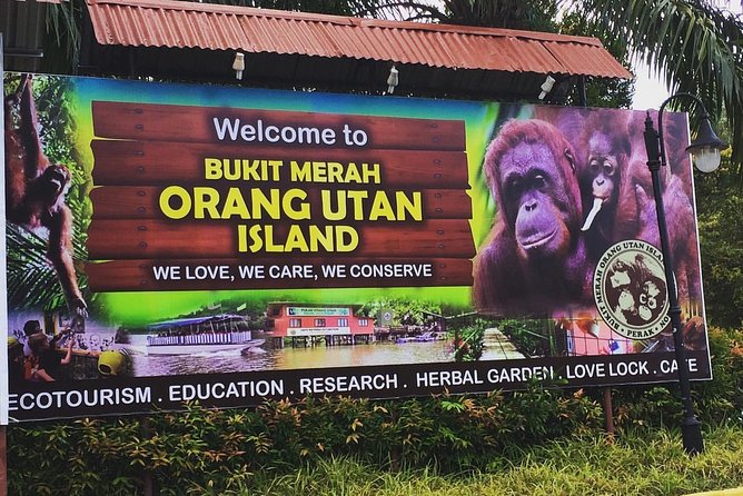 Orang Utan Island Day Tour (Private) - Taiping Lake Gardens: the calmer pause in the middle