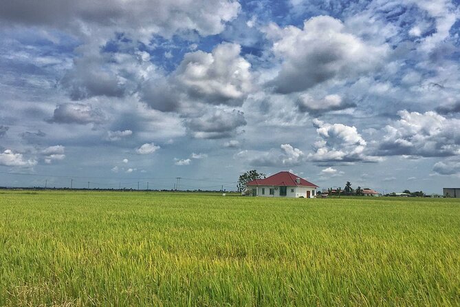 Paddy Field, Fishing Village Sekinchan DAY Tour Lunch (SIC-Shared/Join In Tour) - Rice mill and rice production: what to watch for at the factory stop
