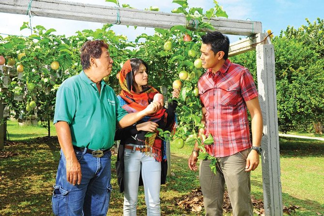 Penang Full Day Tour with Penang Hill, Kek Lok Si & Fruit Farm - Penang Hill Funicular and the Komtar Backup Plan