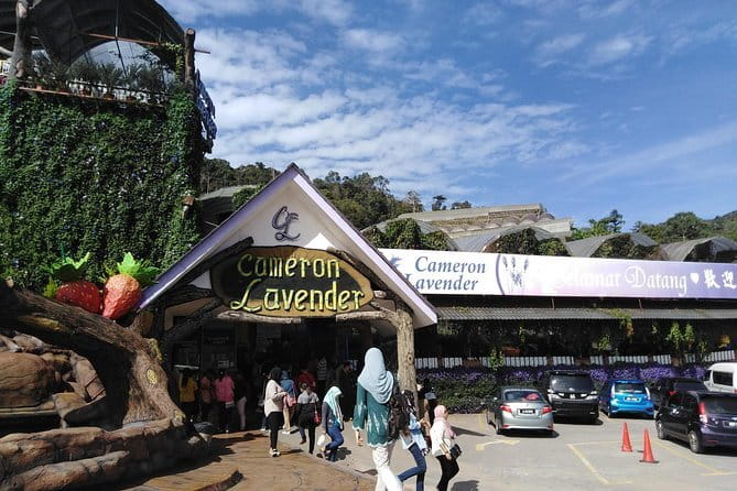 Private: Cameron Highlands 2 days 1 night Trip - Price and what you actually get for about $218.54 per person