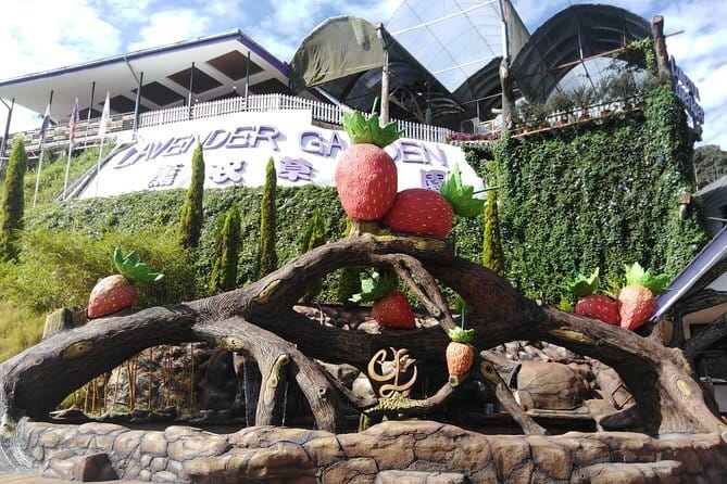 Private: Cameron Highlands 2 days 1 night Trip - Guides and safety: what to expect from the people driving the experience