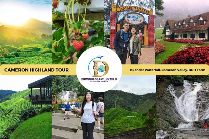 Private Full-Day Cameron Highlands Nature Tour from Kuala Lumpur - What makes this Cameron Highlands tour worth your day