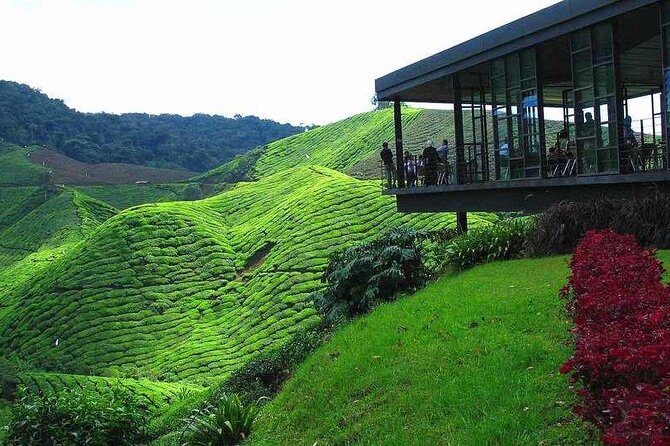 Private Full-Day Cameron Highlands Nature Tour from Kuala Lumpur - The drive to Tapah and Lata Iskandar: where the road details matter