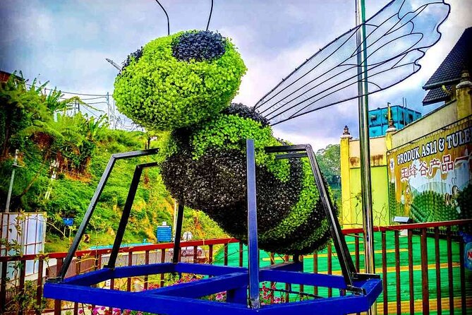 Private Full-Day Cameron Highlands Nature Tour from Kuala Lumpur - Tea estates at Cameron Bharat and Cameron Valley: where the views meet the break