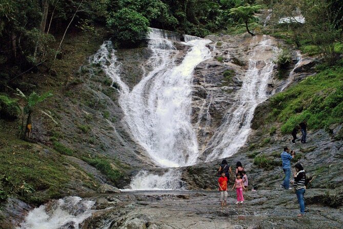 Private Full-Day Cameron Highlands Nature Tour from Kuala Lumpur - Lunch at Golfer’s Café, then back to Kuala Lumpur
