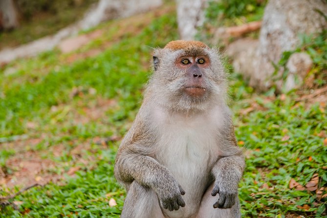 Private Kanching Waterfalls with Batu Caves & Ramayana Caves Tour - Practical Packing Tips (Based on the Day’s Mix)