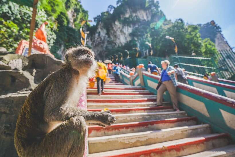 Private KL City Tour with Petronas Twin Towers & Batu Caves - Private Driver = Less Waiting, More Sightseeing