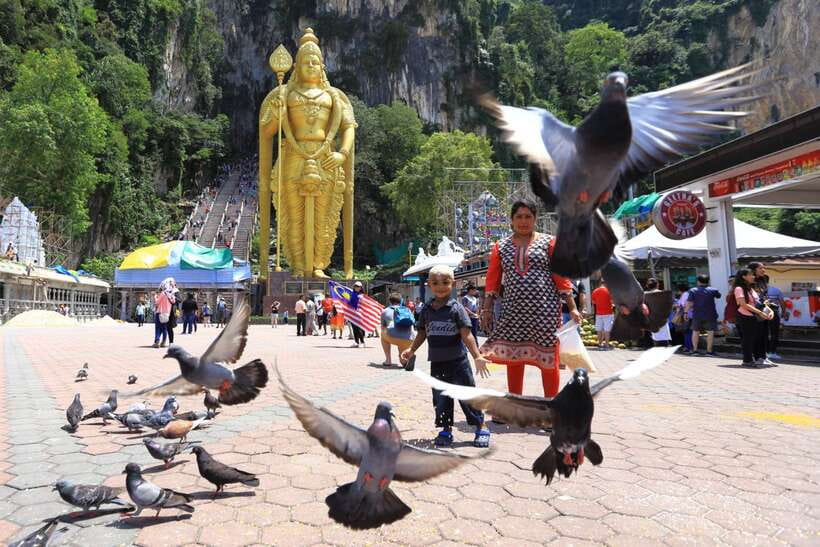 Private KL City Tour with Petronas Twin Towers & Batu Caves - Perdana Botanical Garden: A Breather Between Big Stops