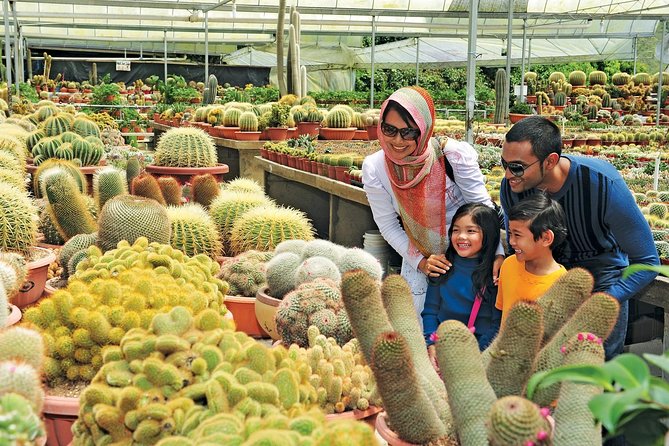 Private Nature Trip to Cameron Highlands from Kuala Lumpur - Service Quality: One Caution About Guide Communication