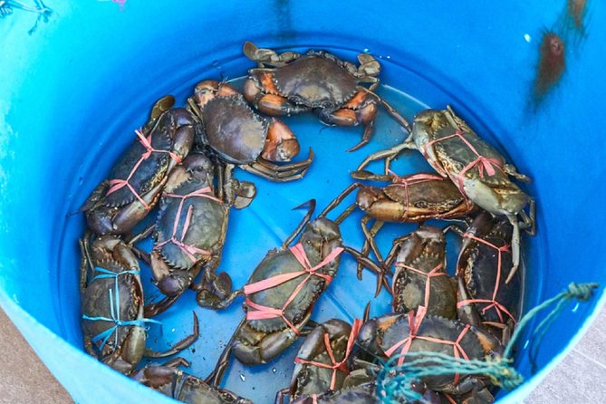 Private Tour: Crab Island Sightseeing Boat Ride and Seafood Lunch - Lunch on the Island: Seafood You Can Actually Taste