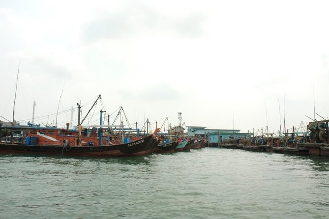 Private Tour: Crab Island Sightseeing Boat Ride and Seafood Lunch - Return to KL: Blue Mosque Photo Stop and Calm City Contrast