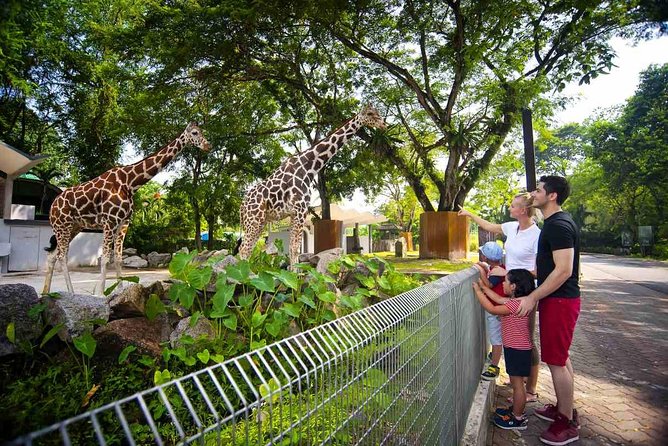 Private Tour to The Best of Animal Attractions in Kuala Lumpur - A one-day animal route that actually feels manageable