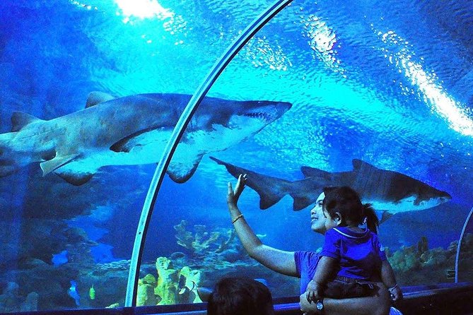 Private Tour to The Best of Animal Attractions in Kuala Lumpur - KL Bird Park: 3,000 birds across local and foreign species