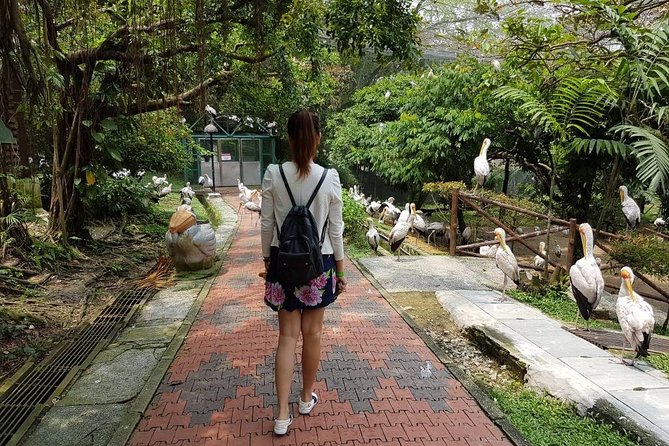 Private Tour to The Best of Animal Attractions in Kuala Lumpur - Who should book this private animal attractions tour