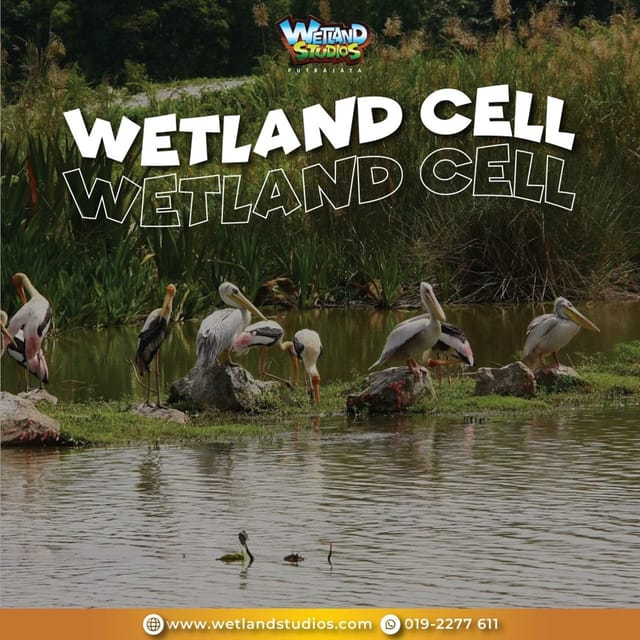 Putrajaya: Wetland Studios Admission Ticket - Booking Flexibility: The “Reserve Now, Pay Later” Benefit