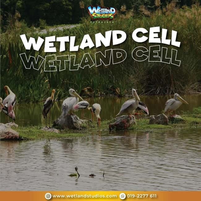 Putrajaya: Wetland Studios Admission Ticket - The Past–Present–Future Storyline (and Why It Matters)