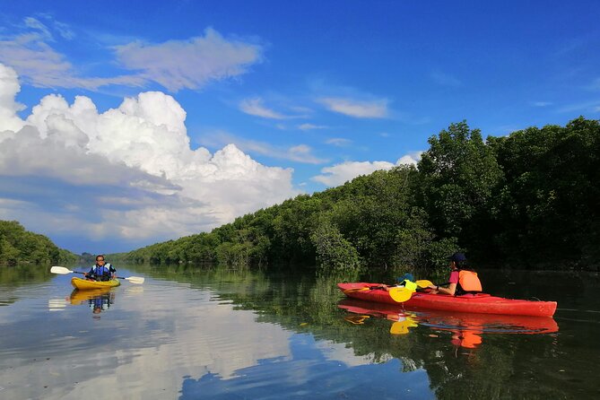 River Exploration and Mangrove Nature Tour by kayaking - Key points worth knowing