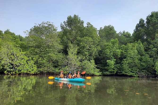 River Exploration and Mangrove Nature Tour by kayaking - Sepang River Kayaking: peaceful mangroves without the boat chaos