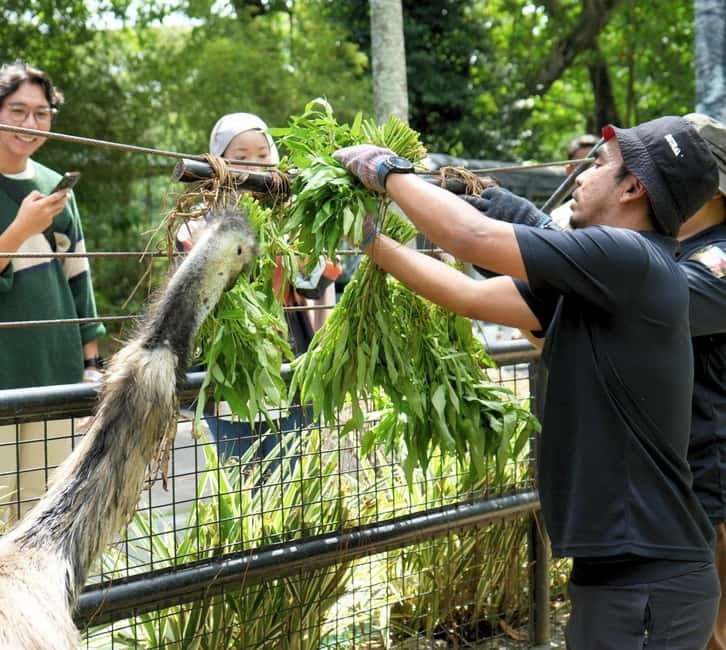 Selangor: Zoo Negara E-Ticket - Key highlights you’ll care about