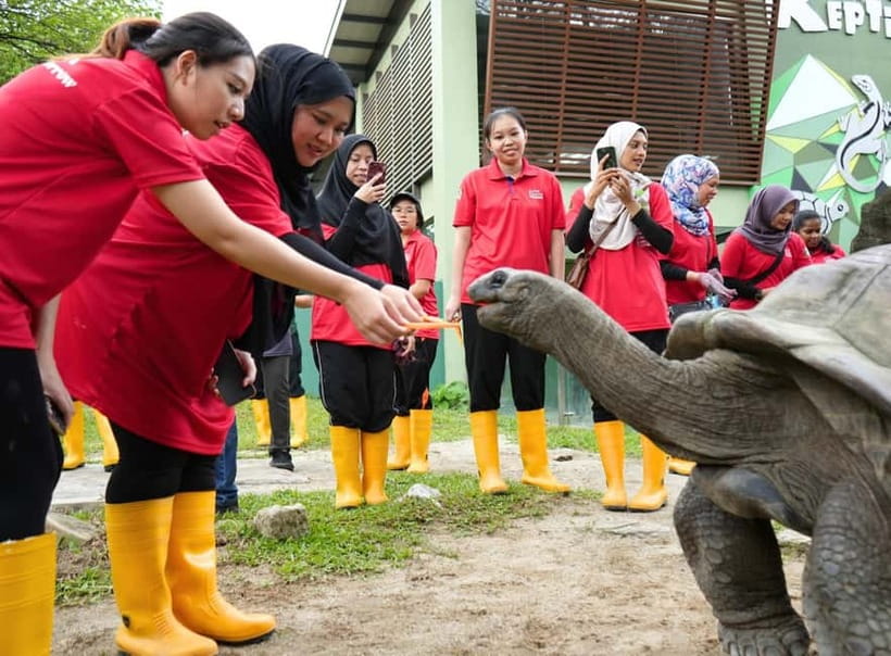 Selangor: Zoo Negara E-Ticket - Zoo Negara’s Giant Panda Conservation Centre is the main event
