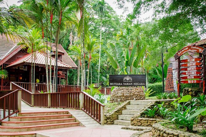 Taman Negara Day Tour with Canopy Walk - Key Things I’d Plan For Before You Go