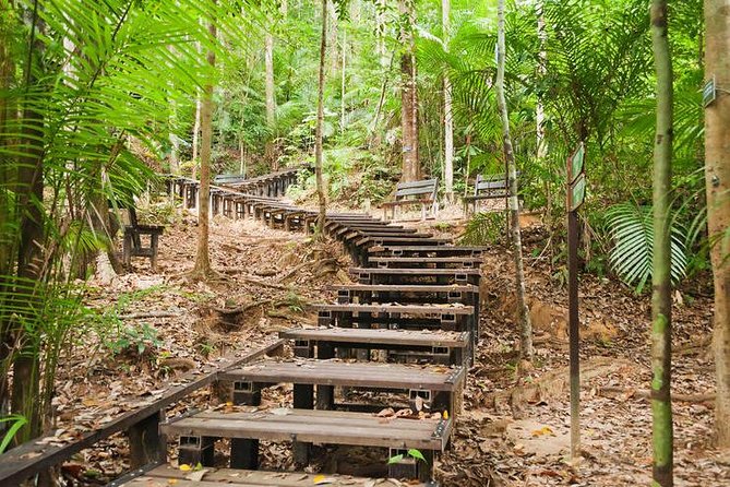 Taman Negara Day Tour with Canopy Walk - Why Taman Negara Feels Big Even in One Day