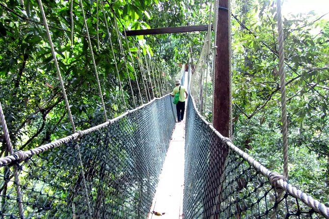 Taman Negara Day Tour with Canopy Walk - Teresek Hill Trek: A Real Jungle Walk, Not a Photo Stop