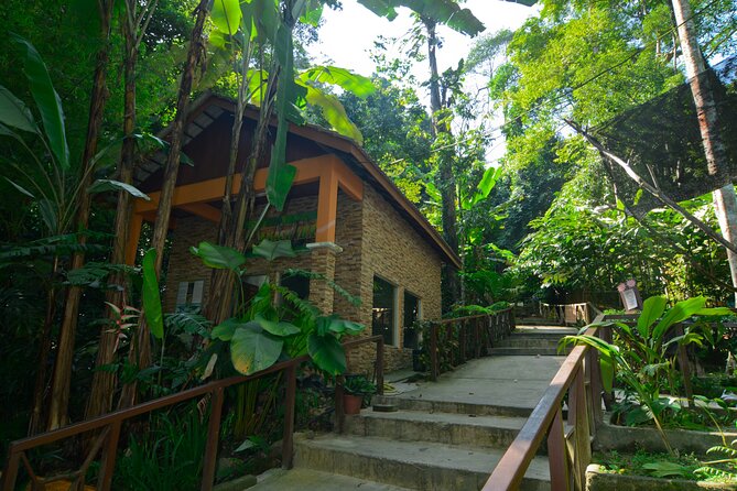 Taman Negara Day Trip from Kuala Lumpur with Lunch - Key Things to Know Before You Go