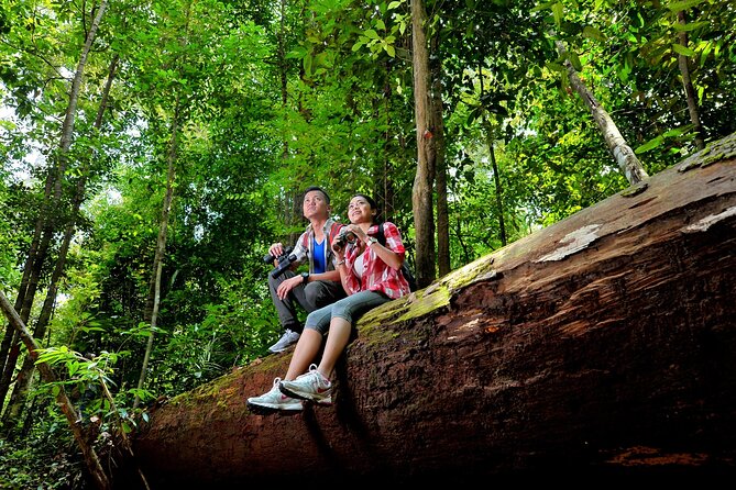 Taman Negara Day Trip from Kuala Lumpur with Lunch - Comfort, Timing, and Moderate Fitness: Know What You’re Signing Up For
