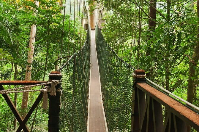 Taman Negara National Park Day Excursion from Kuala Lumpur PVT - From Kuala Lumpur at 6:00 am: the day-trip rhythm