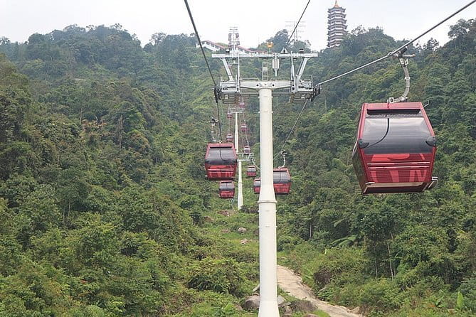 Taman Negara National Park Day Excursion from Kuala Lumpur PVT - Guides and communication: what to expect from the team