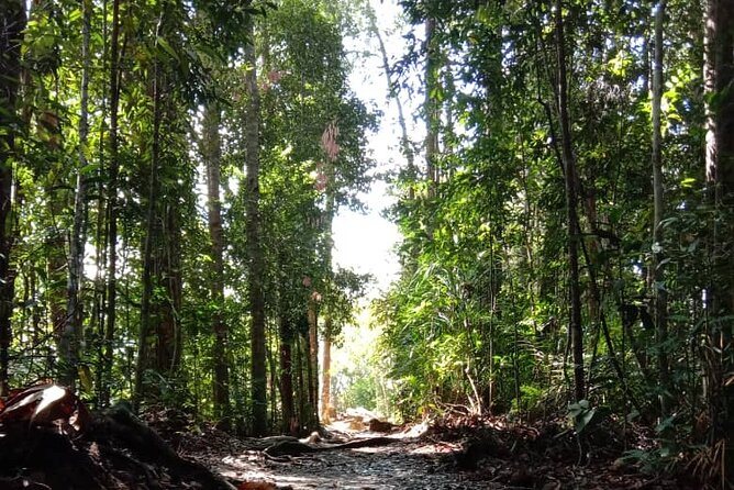 Taman Negara National Park Day Tour (SIC - Join In Tour) - Teresek Hill trekking: stairs, sweat, and a realistic sense of effort