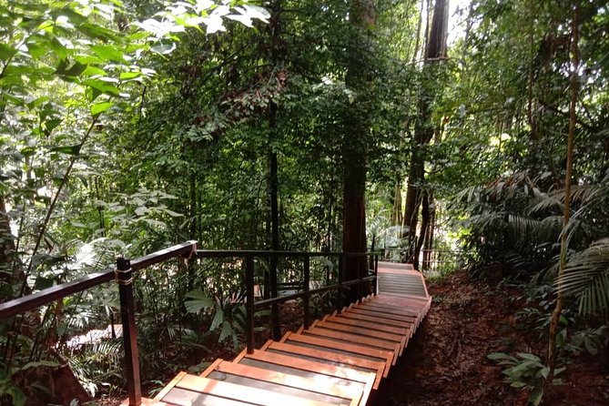 Taman Negara National Park Day Tour (SIC - Join In Tour) - Permits, guides, and why the “small explanations” matter