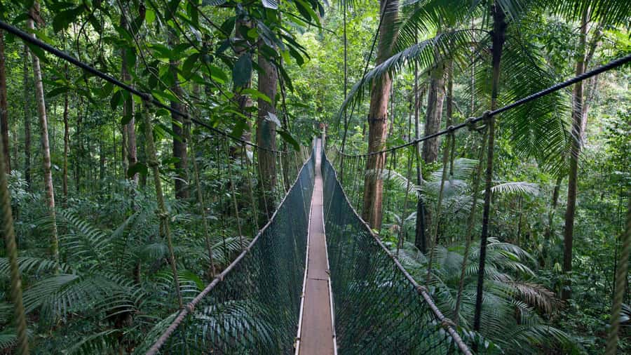 Taman Negara Rainforest Tour with Lata Berkoh Falls - Key things I’d circle before you go
