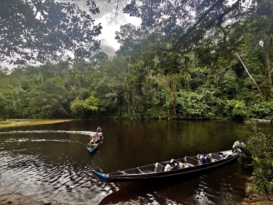 Taman Negara Rainforest Tour with Lata Berkoh Falls - Who This Tour Fits Best (and Who Should Skip It)